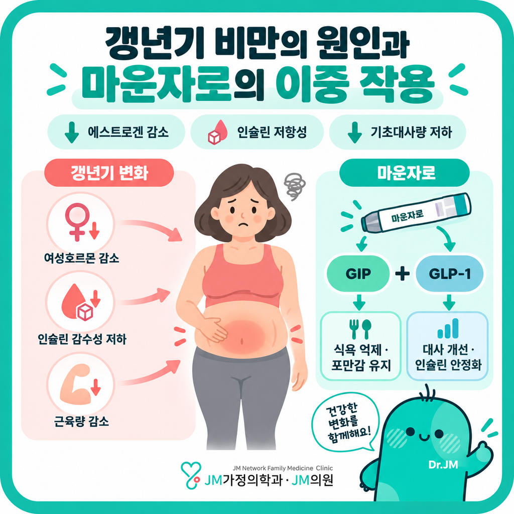 마운자로갱년기