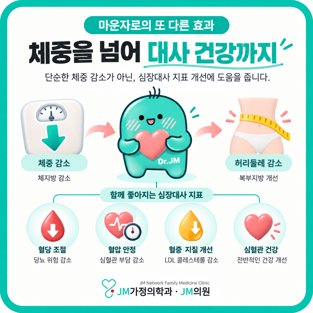 마운자로대사건강

