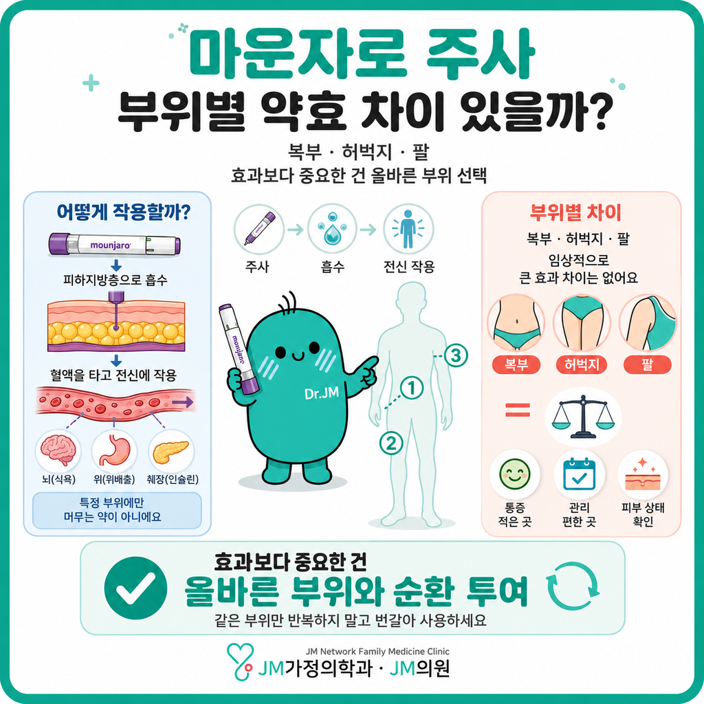 마운자로부위별약효차이