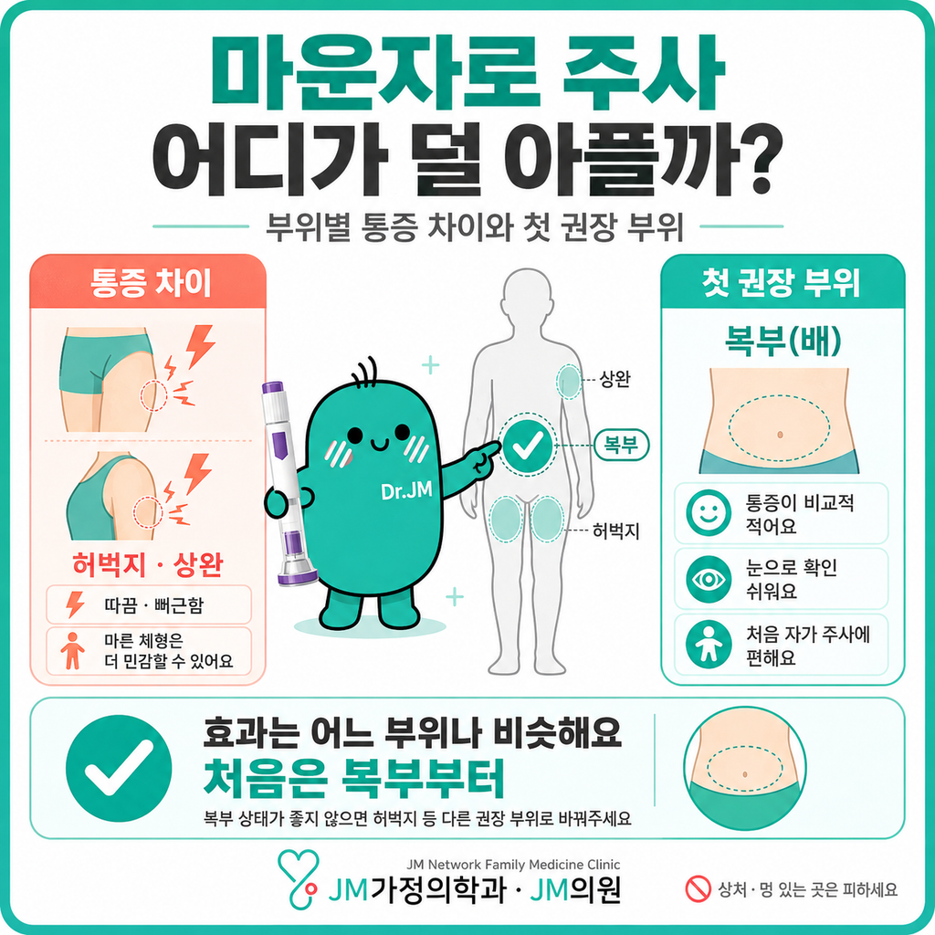 마운자로주사부위
