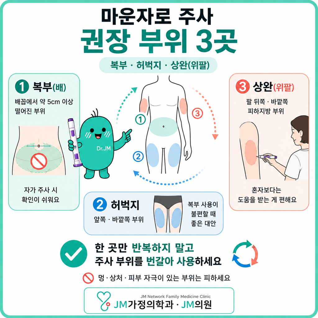 마운자로주사권장하는부위