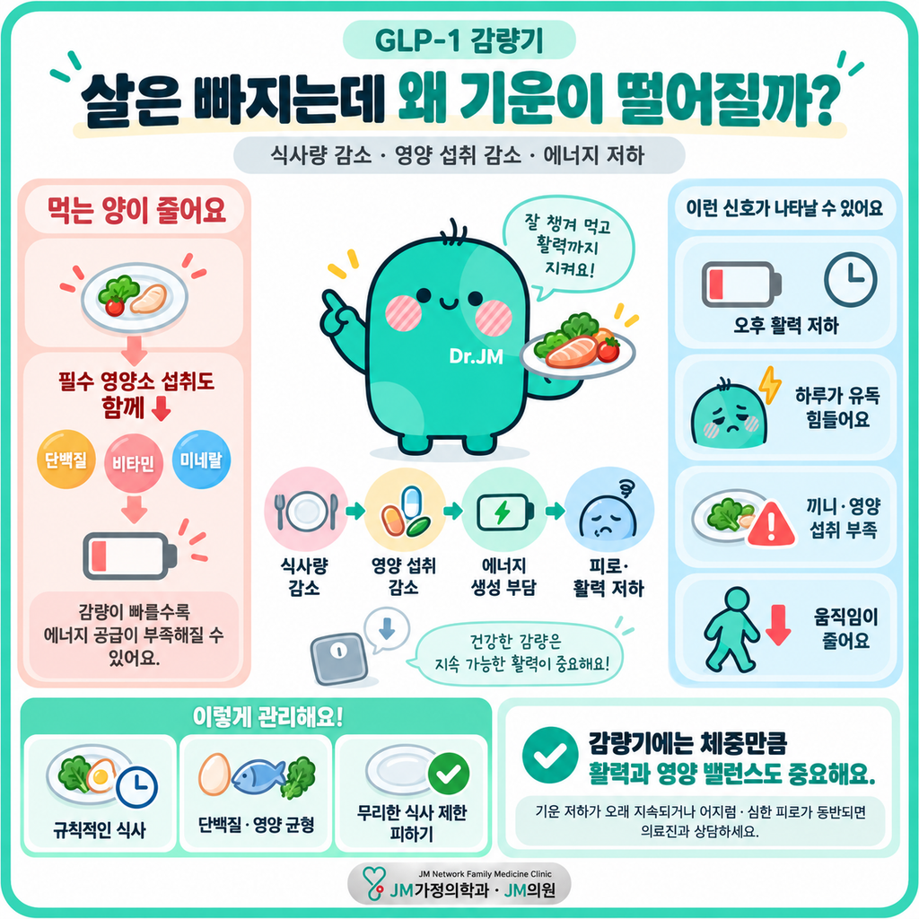 마운자로피로
