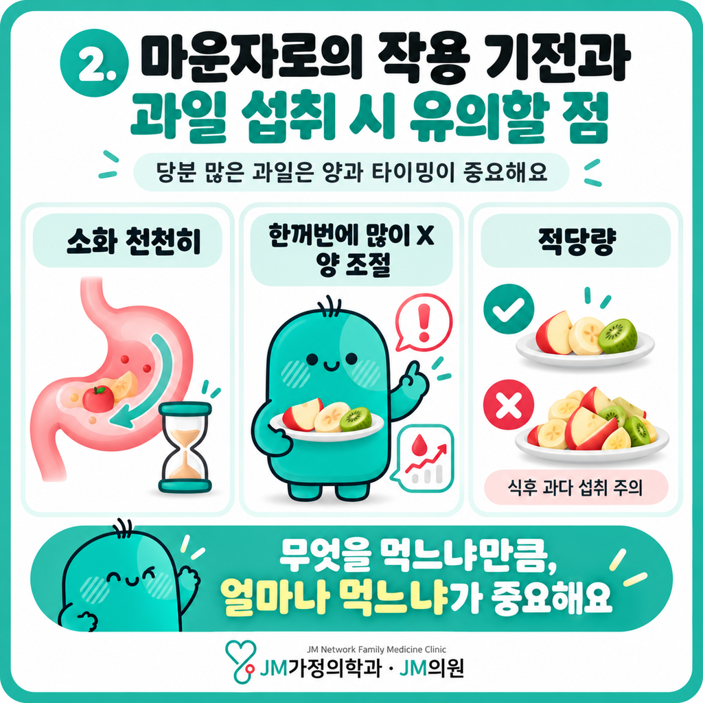 마운자로과일
