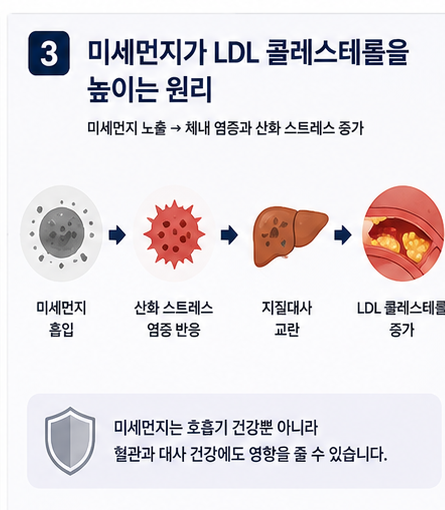 미세먼지 LDL 콜레스테롤 증가 원리