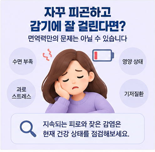 계속되는 피로, 면역력만의 문제는 아닙니다