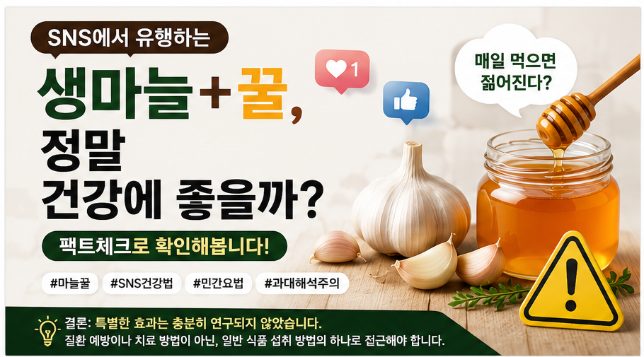 마늘꿀 효능 정말 있을까 생마늘+꿀 SNS 건강법 팩트체크