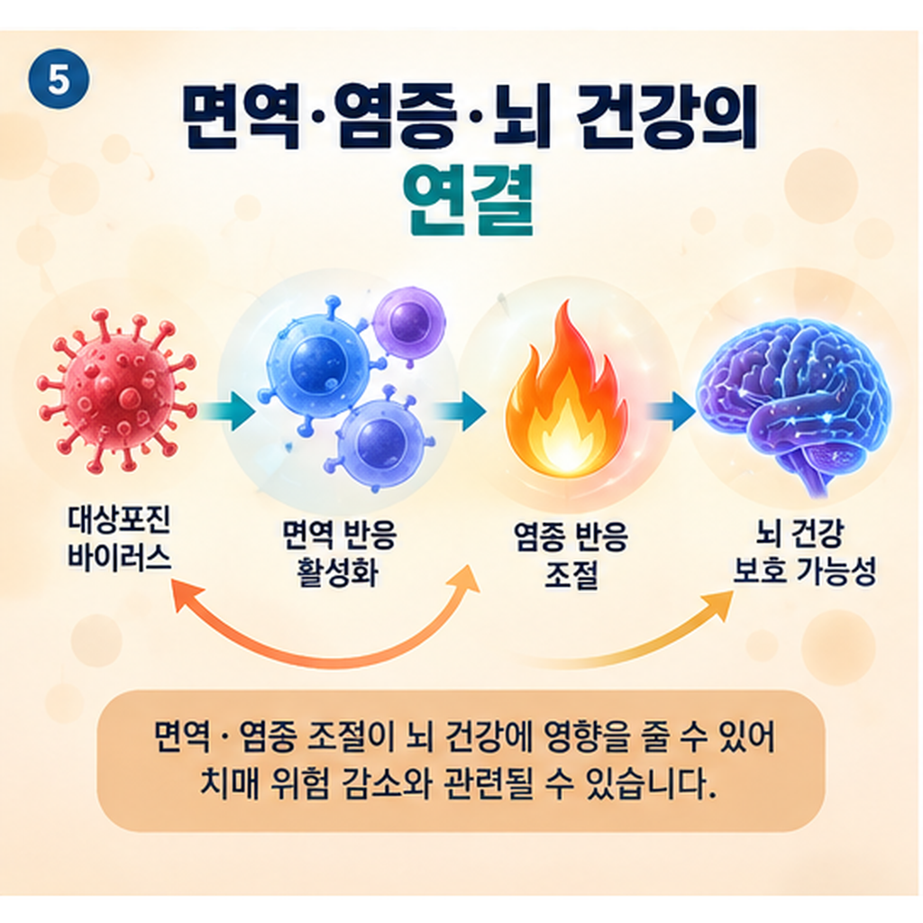 대상포진 백신과 면역·염증·뇌 건강