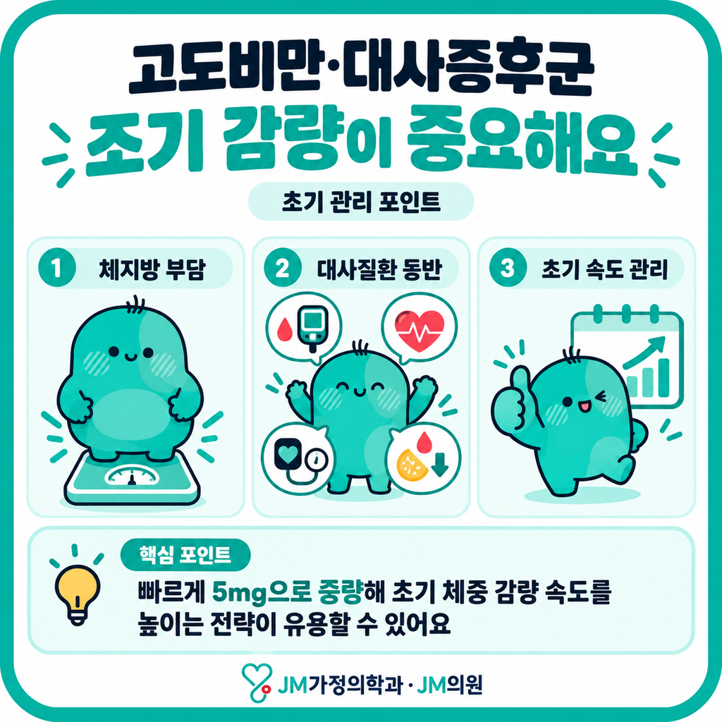 마운자로대사증후군
