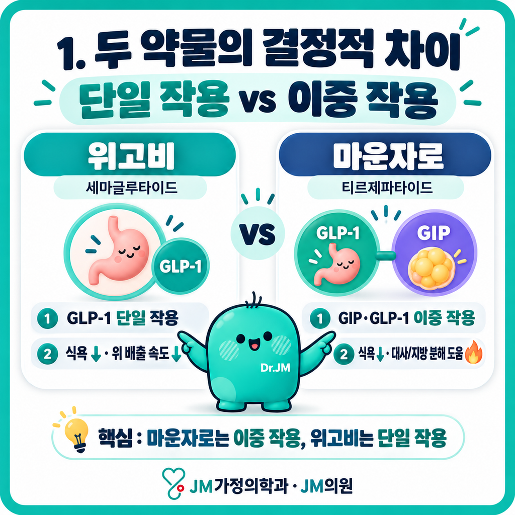 마운자로이중작용