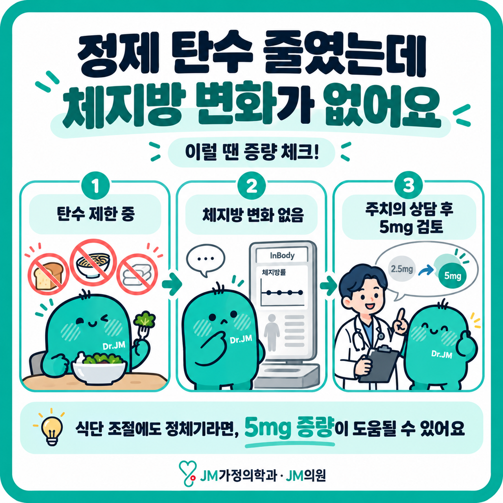 마운자로체지방변화